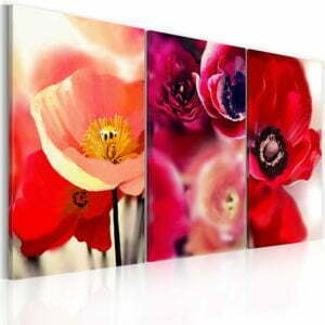Wandbild - Mohnblumen - drei Perspektiven