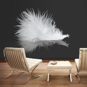 Fototapete - White feather