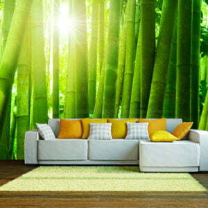 Fototapete - Sonne und Bambus