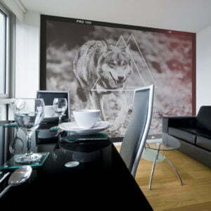 Fototapete - Wolf - Photo