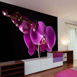 Fototapete - elegant  Orchidee