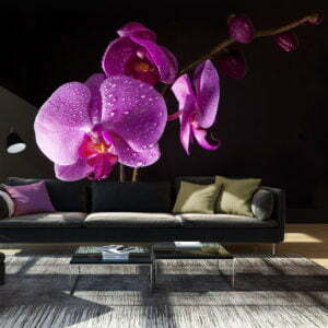 Fototapete - stilvoll  Orchidee
