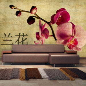 Fototapete - Japanese orchid