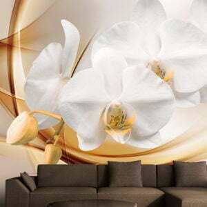 Fototapete - Orchid blossom