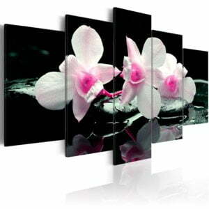 Wandbild - Rest of orchids