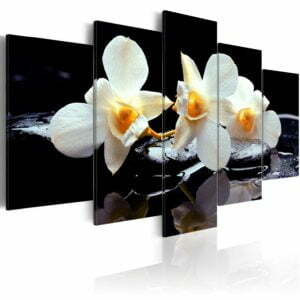Wandbild - Orchids with orange accent