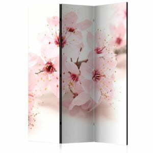3-teiliges Paravent - Cherry Blossom [Room Dividers]