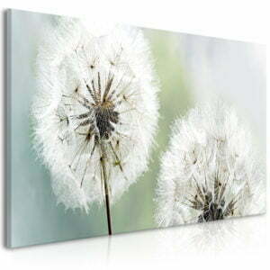 Wandbild - Fluffy Dandelions (1 Part) Green Wide