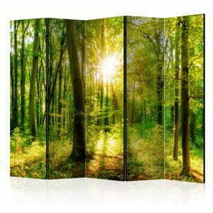 5-teiliges Paravent - Forest Rays II [Room Dividers]