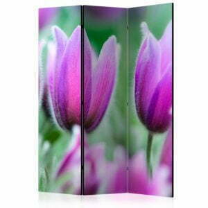 3-teiliges Paravent - Purple spring tulips [Room Dividers]