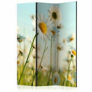 3-teiliges Paravent - Daisies - spring meadow [Room Dividers]
