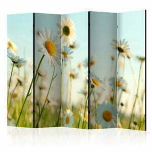 5-teiliges Paravent - Daisies - spring meadow II [Room Dividers]