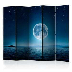 5-teiliges Paravent - Moonlit night II [Room Dividers]