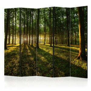 5-teiliges Paravent - Morning in the Forest II [Room Dividers]
