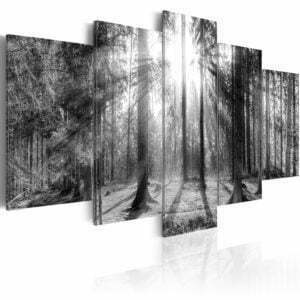 Wandbild - Forest of Memories
