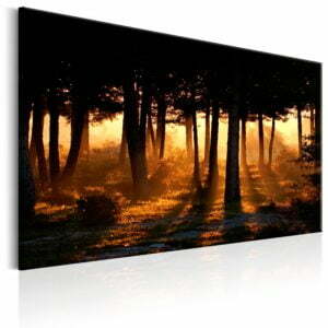 Wandbild - Forest Dawn
