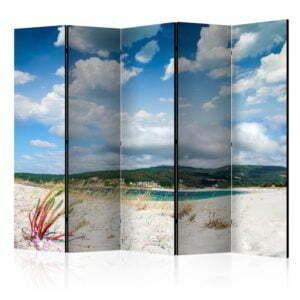 5-teiliges Paravent - Beach on the Costa da Morte II [Room Dividers]