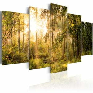 Wandbild - Magic of Forest