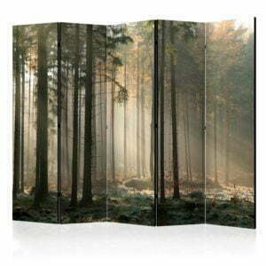 5-teiliges Paravent - Foggy November morning II [Room Dividers]
