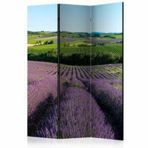3-teiliges Paravent - Lavender fields [Room Dividers]