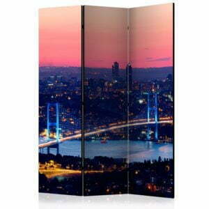 3-teiliges Paravent - Bosphorus Bridge [Room Dividers]