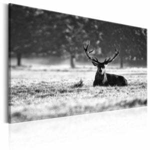 Wandbild - Lying Deer