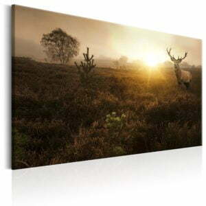 Wandbild - Foggy Field