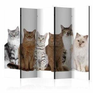 5-teiliges Paravent - Sweet Cats II [Room Dividers]