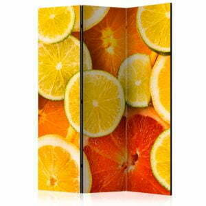 3-teiliges Paravent - Citrus fruits [Room Dividers]
