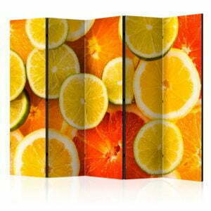 5-teiliges Paravent - Citrus fruits II [Room Dividers]