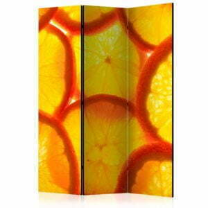 3-teiliges Paravent - Orange slices [Room Dividers]