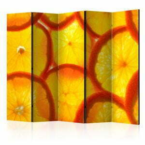 5-teiliges Paravent - Orange slices II [Room Dividers]