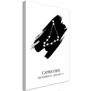 Wandbild - Zodiac Signs: Capricorn (1 Part) Vertical