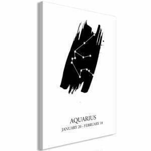 Wandbild - Zodiac Signs: Aquarius (1 Part) Vertical