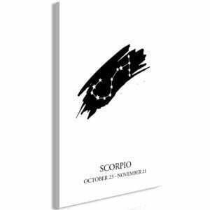 Wandbild - Zodiac Signs: Scorpio (1 Part) Vertical