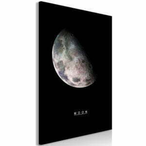 Wandbild - Moon (1 Part) Vertical