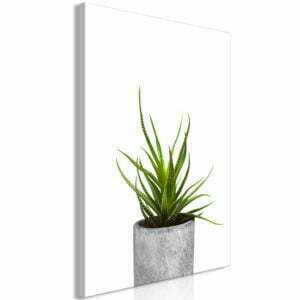 Wandbild - Haworthia (1 Part) Vertical