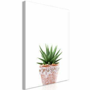 Wandbild - Succulents In Pot (1 Part) Vertical