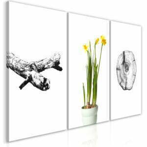 Wandbild - Nature (Collection)