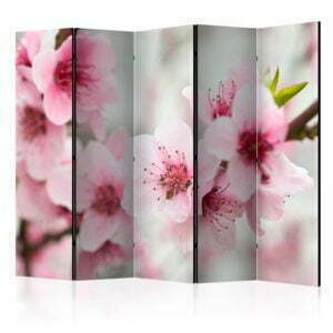 5-teiliges Paravent - Spring, blooming tree - pink flowers II [Room Dividers]
