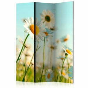 3-teiliges Paravent - Daisies - spring meadow [Room Dividers]