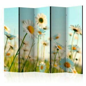 5-teiliges Paravent - Daisies - spring meadow II [Room Dividers]