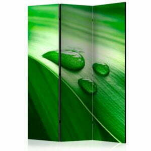 3-teiliges Paravent - Leaf and three drops of water [Room Dividers]