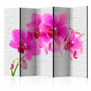 5-teiliges Paravent - Pink excitation II [Room Dividers]