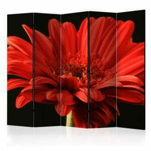 5-teiliges Paravent - Red gerbera flower II [Room Dividers]