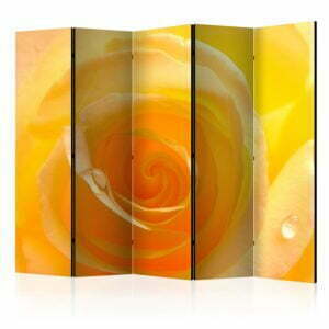5-teiliges Paravent - Yellow rose II [Room Dividers]