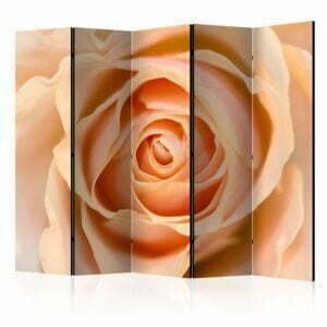 5-teiliges Paravent - Peach-colored rose II [Room Dividers]
