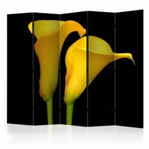 5-teiliges Paravent - Two yellow calla flowers on a black background II [Room Dividers]