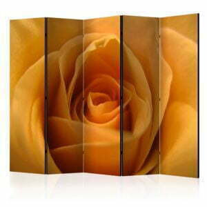5-teiliges Paravent - Yellow rose – a symbol of friendship II [Room Dividers]