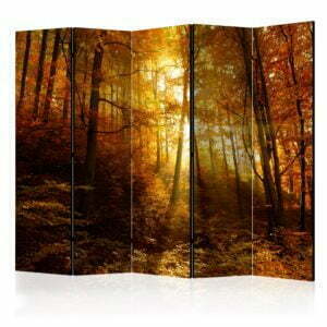5-teiliges Paravent - Autumn Illumination II [Room Dividers]